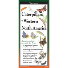 Load image into Gallery viewer, Laminated Guide to Caterpillars of Western North America