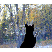 Load image into Gallery viewer, Fungi and Fern Window Gems