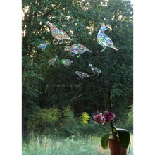 Load image into Gallery viewer, Quail Window Gems
