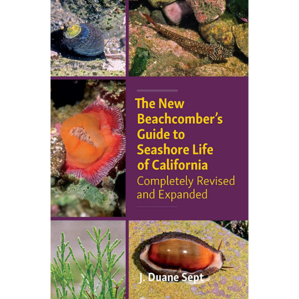 The New Beachcomber’s Guide to Seashore Life of California