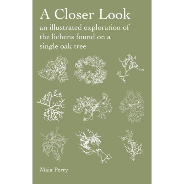 A Closer Look: An Illustrated Exploration of the Lichens Found on a Single Oak