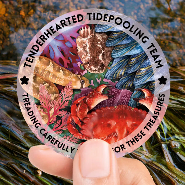 Tread Carefully Tidepool Sticker
