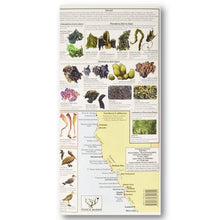 Load image into Gallery viewer, Laminated Guide to Northern California Tidepools
