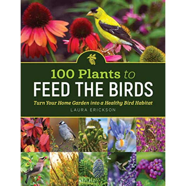 100 Plants to Feed the Birds