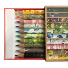 Load image into Gallery viewer, Wanderlust and Wildflowers Colored Pencil Set
