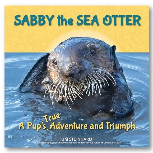 Sabby the Sea Otter