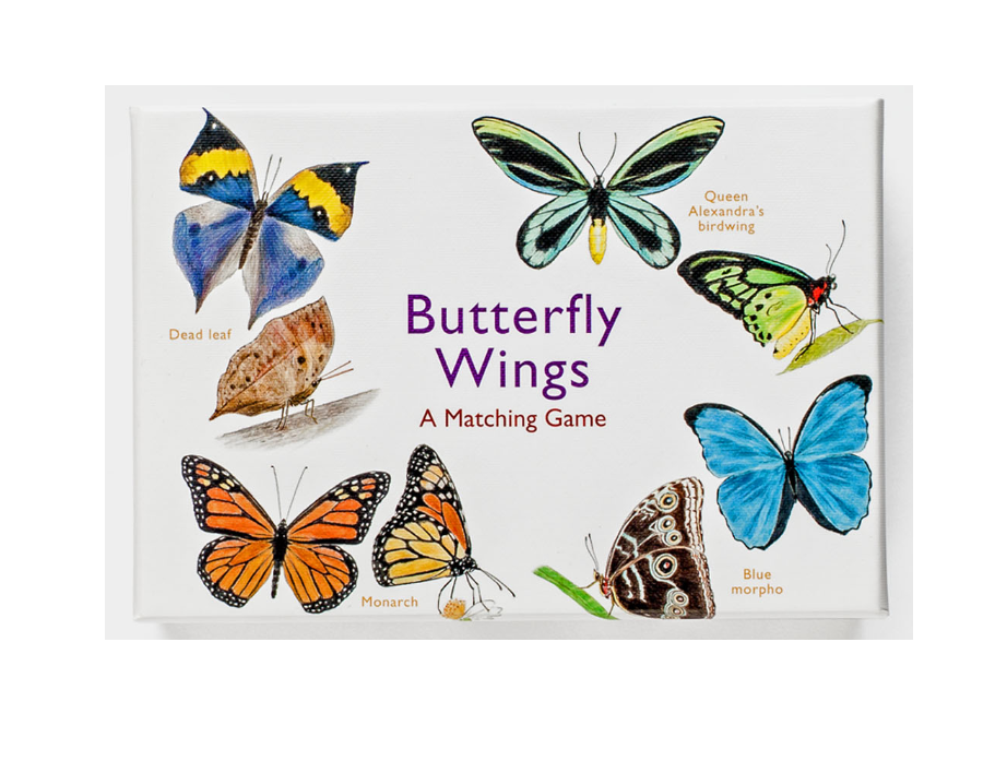 Butterfly Wings - A Matching Game