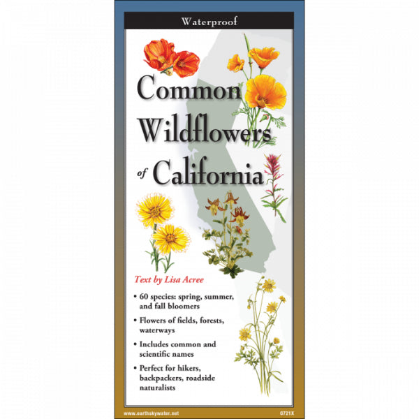 Laminated Guide to Common California Wildflowers