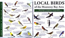 Load image into Gallery viewer, Laminated Field Guide - Birds of the Monterey Bay
