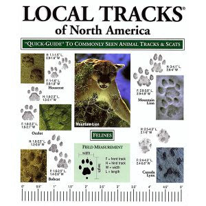 Laminated Field Guide - Tracks of North America