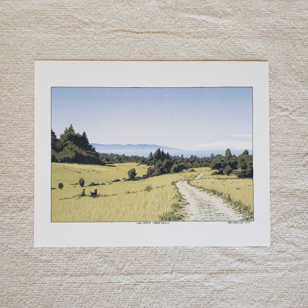 Wilder Ranch Long Meadow Print by Michael Bencze