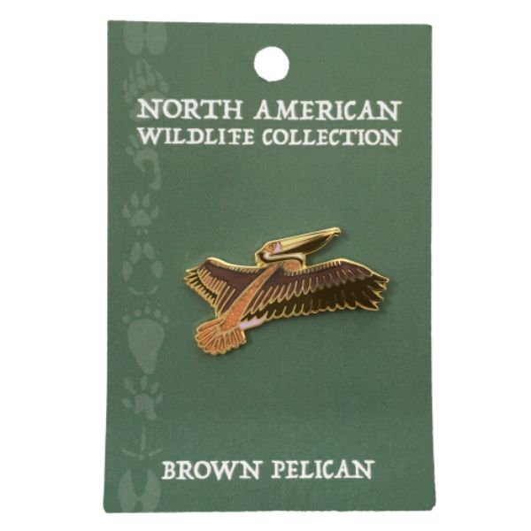 Wildlife Pin - Brown Pelican