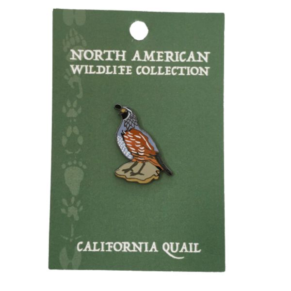 Wildlife Pin - California Quail
