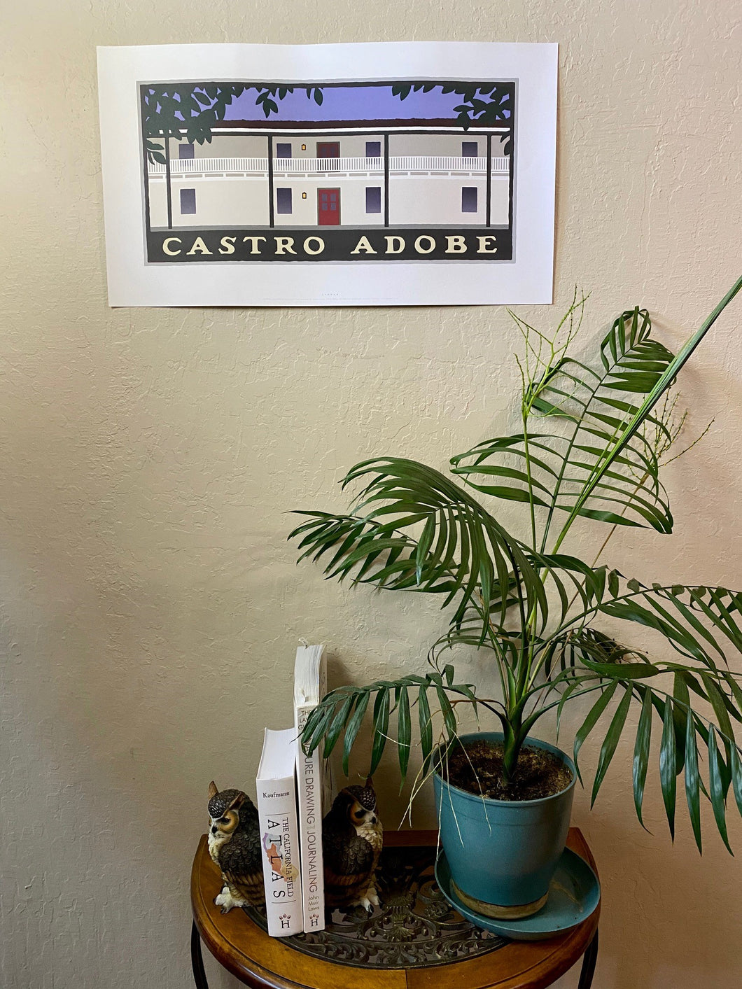 Castro Adobe Poster (Michael Schwab)