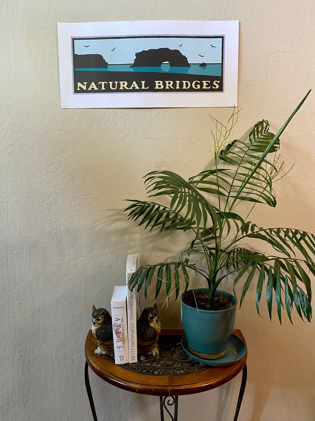 Natural Bridges Poster (Michael Schwab)