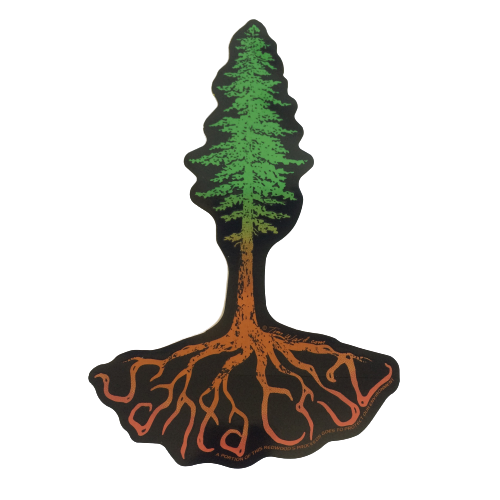Sticker - Redwood Roots Santa Cruz