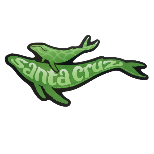 Sticker - Whale (Santa Cruz) green