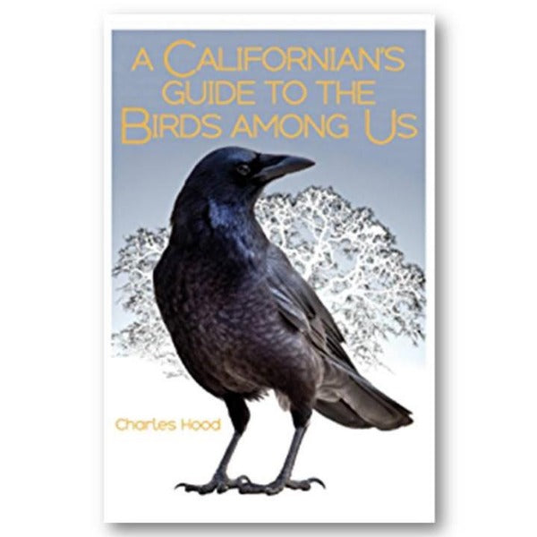 A Californian's Guide to Birds Among Us