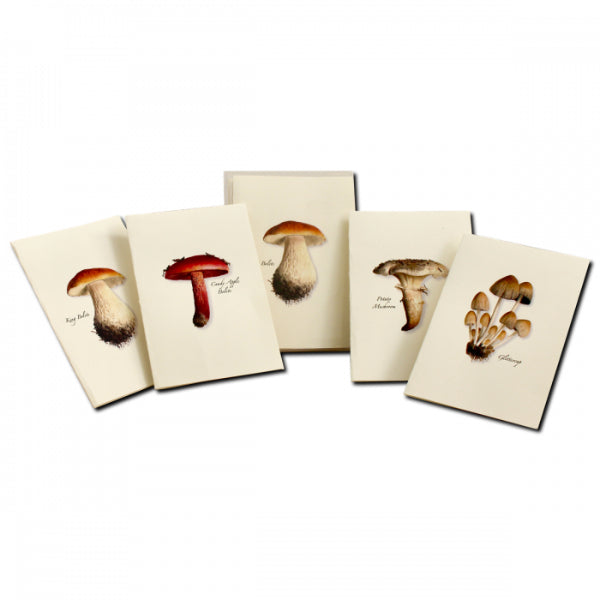 Boxed Set of Mushroom Notecards