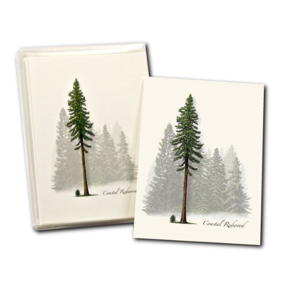 Boxed Set of Coastal Redwood Cards